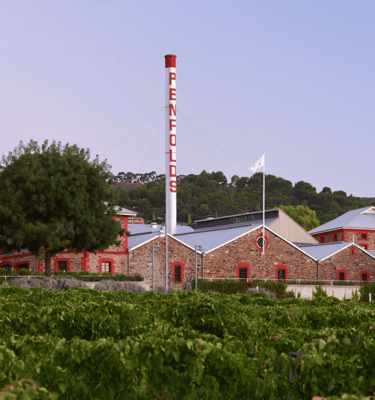 Penfolds Magill Estate at sunset